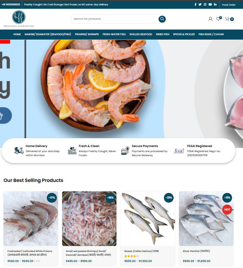 WordPress Development showcase